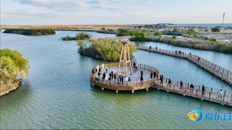 强对抗的比 强对抗的比