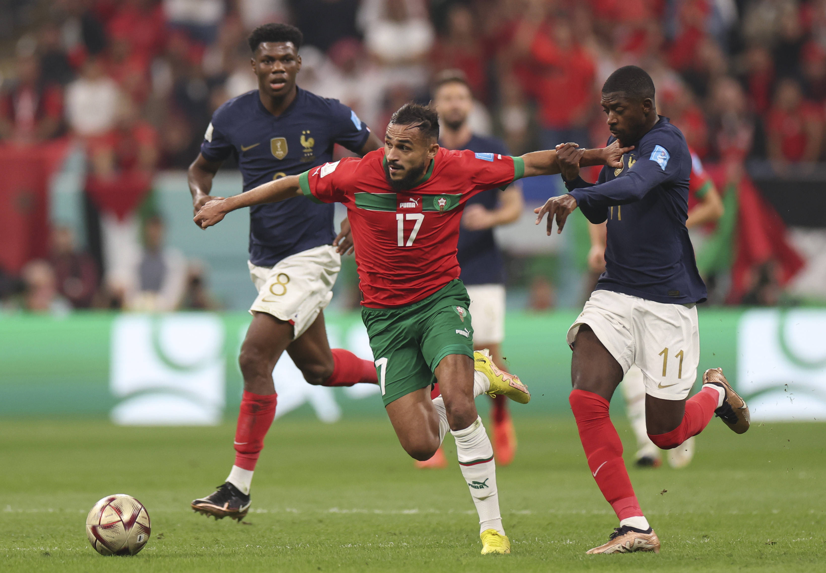 的战略布局 的战略布局